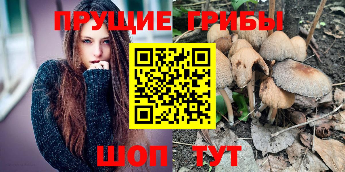 Галлюциногенные грибы Psilocybine cubensis Михайловка